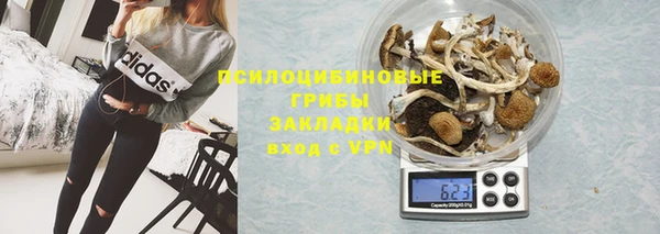 дмт Алзамай