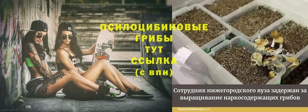 СК Алексеевка