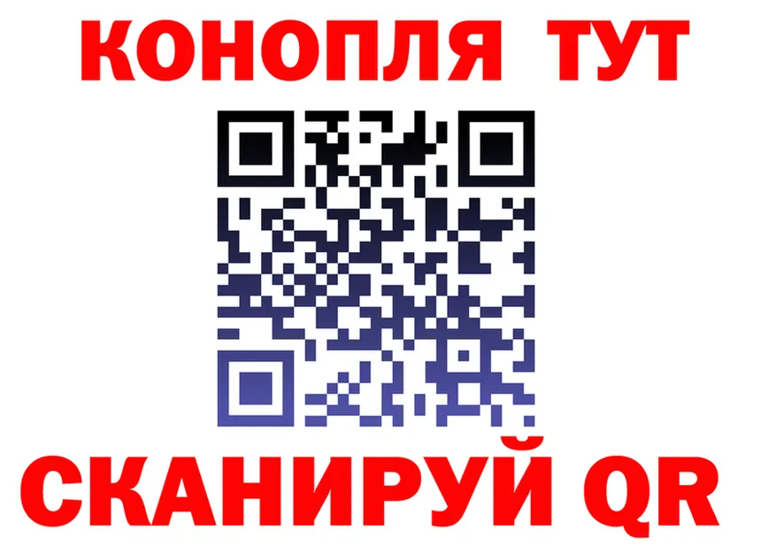 Alfa_PVP СК как войти площадка OMG Кировград