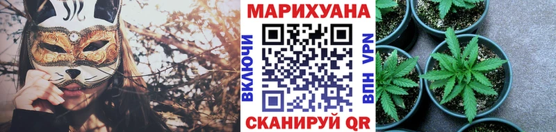 Марихуана сатива  Кировград 